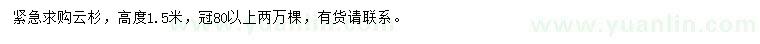 求購(gòu)高1.5米云杉
