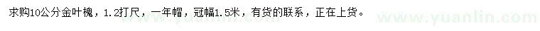求購(gòu)10公分金葉槐