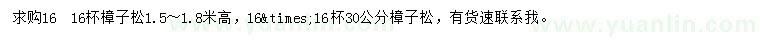 求購高1.5-1.8米樟子松