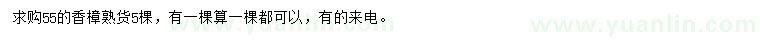求購香樟