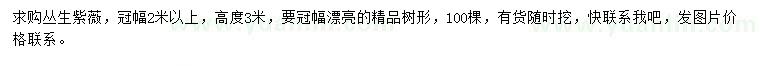 求購(gòu)冠幅2米以上叢生紫薇