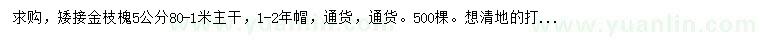 求購5公分金枝槐