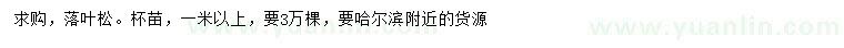 求購1米以上落葉松