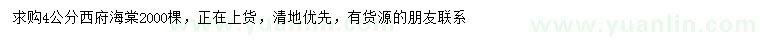 求購4公分西府海棠