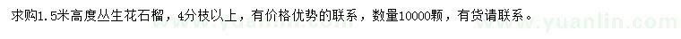 求購(gòu)高1.5米叢生花石榴