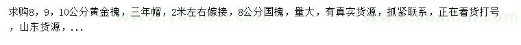 求購(gòu)8、9、10公分黃金槐、8公分國(guó)槐