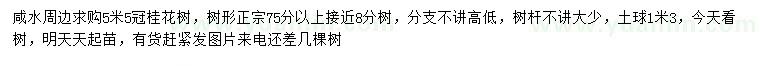求購冠幅5.5米桂花樹
