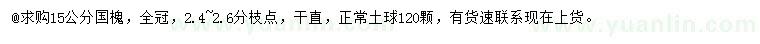 求購15公分國槐