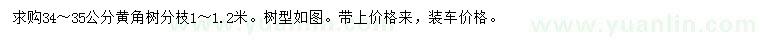 求購34-35公分黃角樹