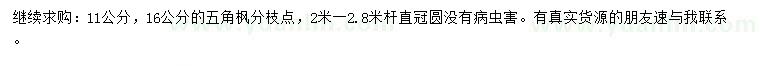 求購11、16公分五角楓