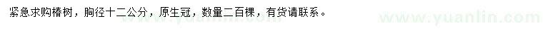 求購(gòu)胸徑12公分椿樹(shù)