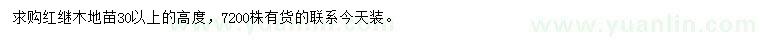 求購高30公分以上紅繼木