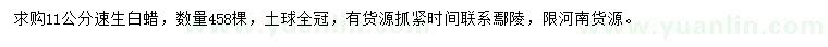 求購(gòu)11公分速生白蠟