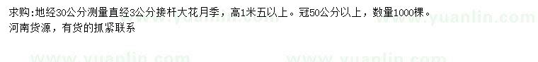 求購(gòu)地經(jīng)30公分量3公分大花月季