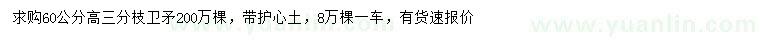 求購(gòu)高60公分衛(wèi)矛