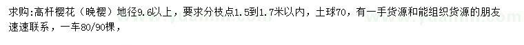 求購地徑9.6公分以上晚櫻
