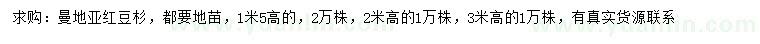 求購高1.5、2、3米曼地亞紅豆杉