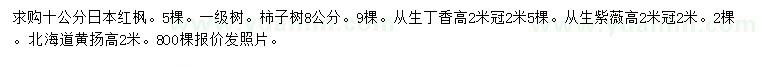 求購日本紅楓、柿子樹、從生丁香等