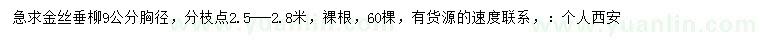 求購胸徑9公分金絲垂柳
