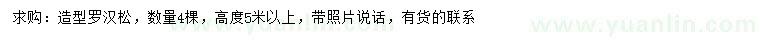 求購高5米以上造型羅漢松
