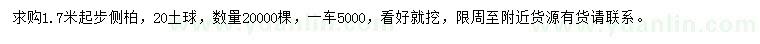 求購1.7米以上側柏