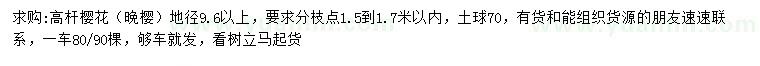 求購地徑9.6以上晚櫻