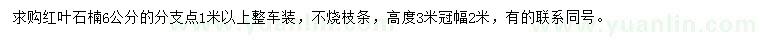 求購6公分紅葉石楠