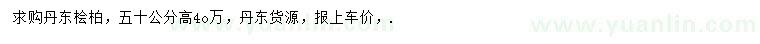 求購高50公分丹東檜