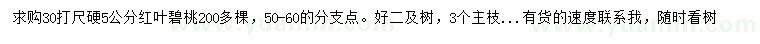 求購30公分量5公分紅葉碧桃