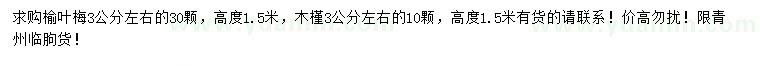 求購3公分榆葉梅、木槿