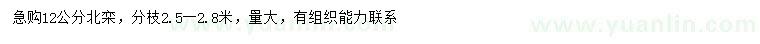 求購12公分北欒