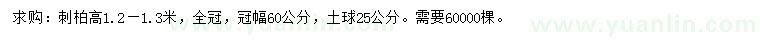求購(gòu)高1.2-1.3米刺柏