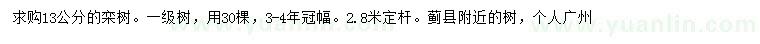 求購13公分欒樹