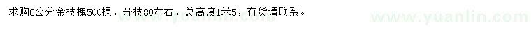 求購6公分金枝槐