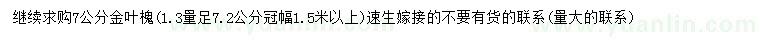 求購(gòu)7公分金葉槐