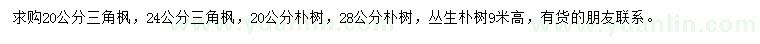 求購(gòu)20、24公分三角楓、20、28公分樸樹