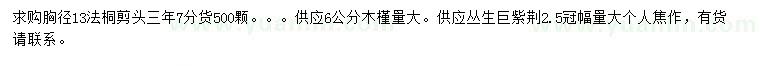 求購法桐、木槿、叢生巨紫荊