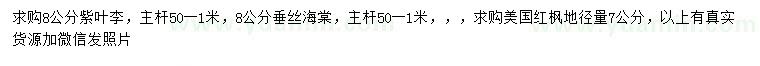 求購紫葉李、垂絲海棠、美國紅楓