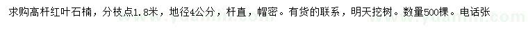 求購(gòu)地徑4公分紅葉石楠