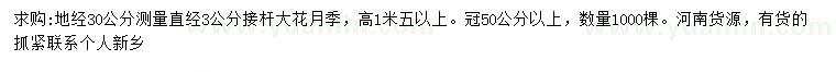 求購30公分量3公分大花月季