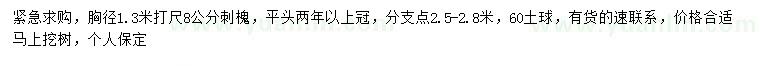 求購1.3米量8公分刺槐