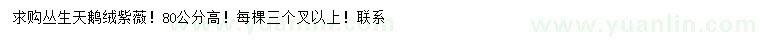 求購高80公分叢生天鵝絨紫薇