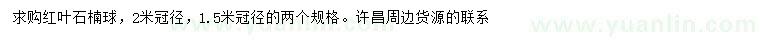 求購冠幅2米紅葉石楠球