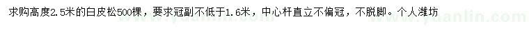 求購高2.5米白皮松
