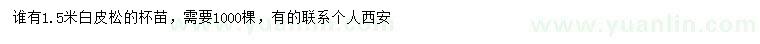 求購1.5米白皮松
