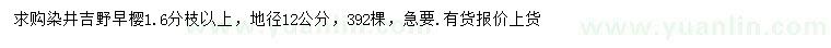 求購(gòu)地徑12公分染井吉野早櫻