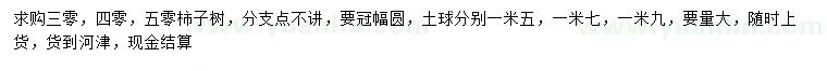 求購(gòu)30、40、50公分柿子樹(shù)