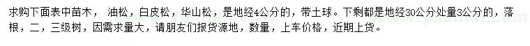 求購油松、白皮松、華山松