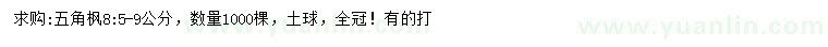 求購(gòu)5-9公分五角楓