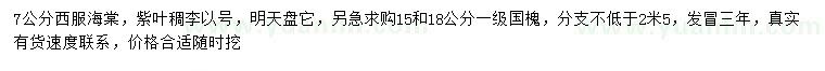 求購西府海棠、紫葉稠李、國槐